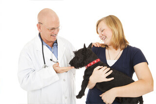 Doctor looking at dog