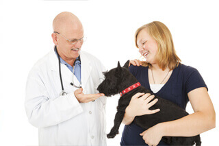 Doctor looking at dog Doctor looking at dog