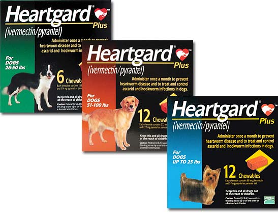 k9 heartworm rx