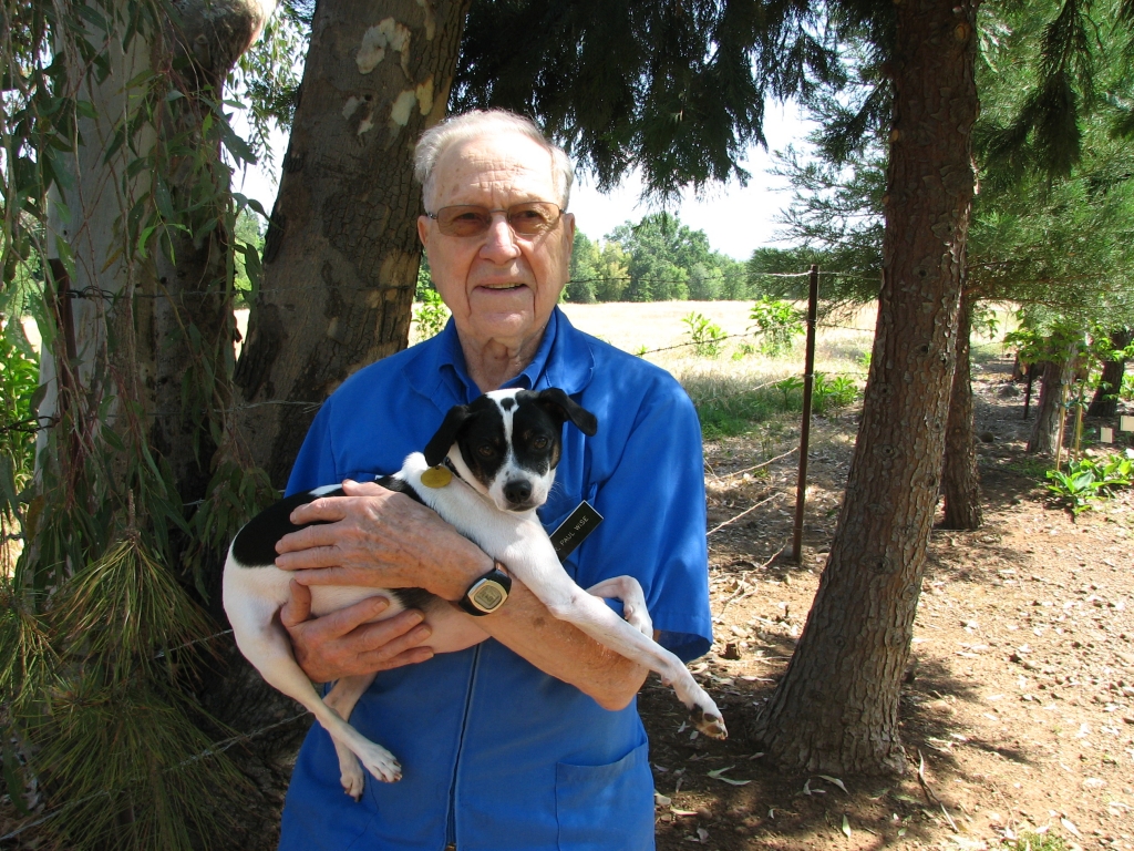 Paul T. Wise, DVM Paul T. Wise, DVM