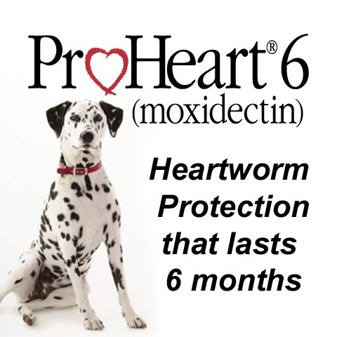 Pro Heart Logo