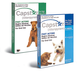 Capstar Capstar