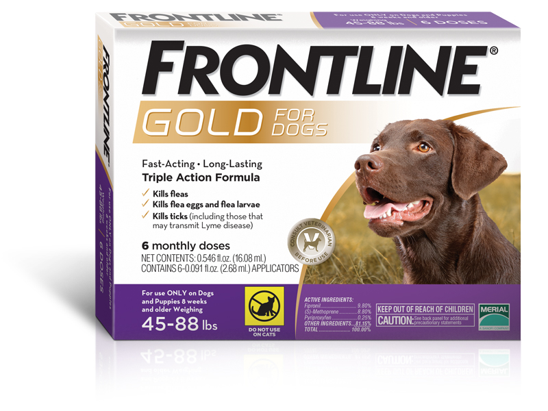 Frontline Frontline