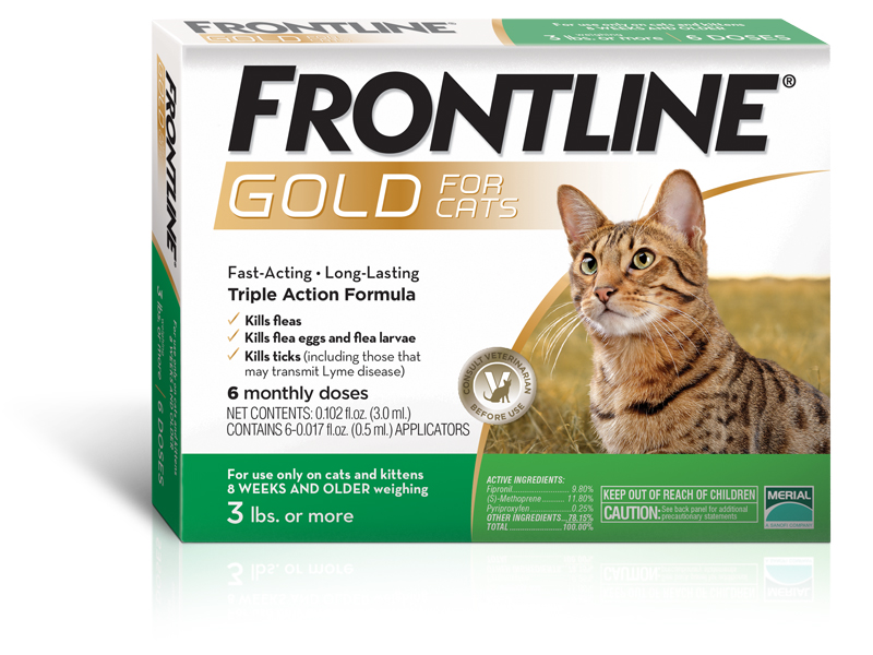 Frontline Frontline