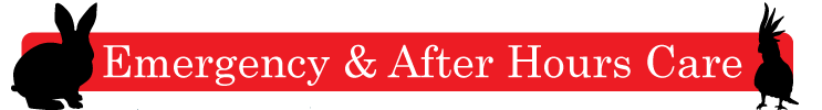 Emergencies & After Hours Care Button