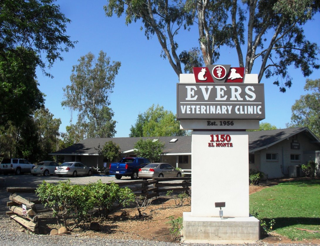 Evers Vet Clinic